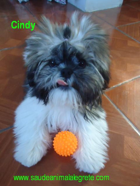 CINDY