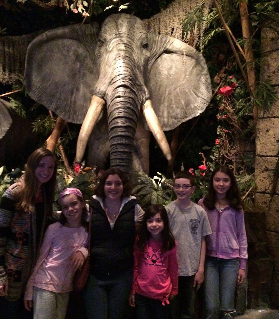 David and cousins (2014)