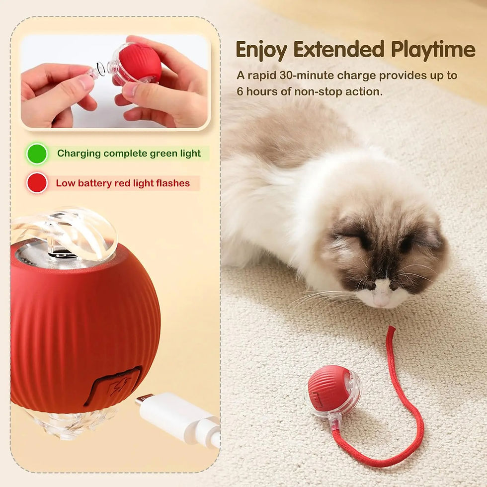 Miniatura: Bola Automática para Gatos com Sensor de Movimento