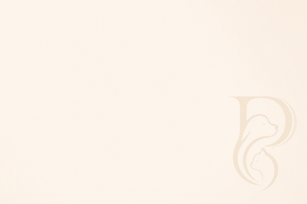 ChatGPT Image 21 de jun. de 2026, 23_10_29.png
