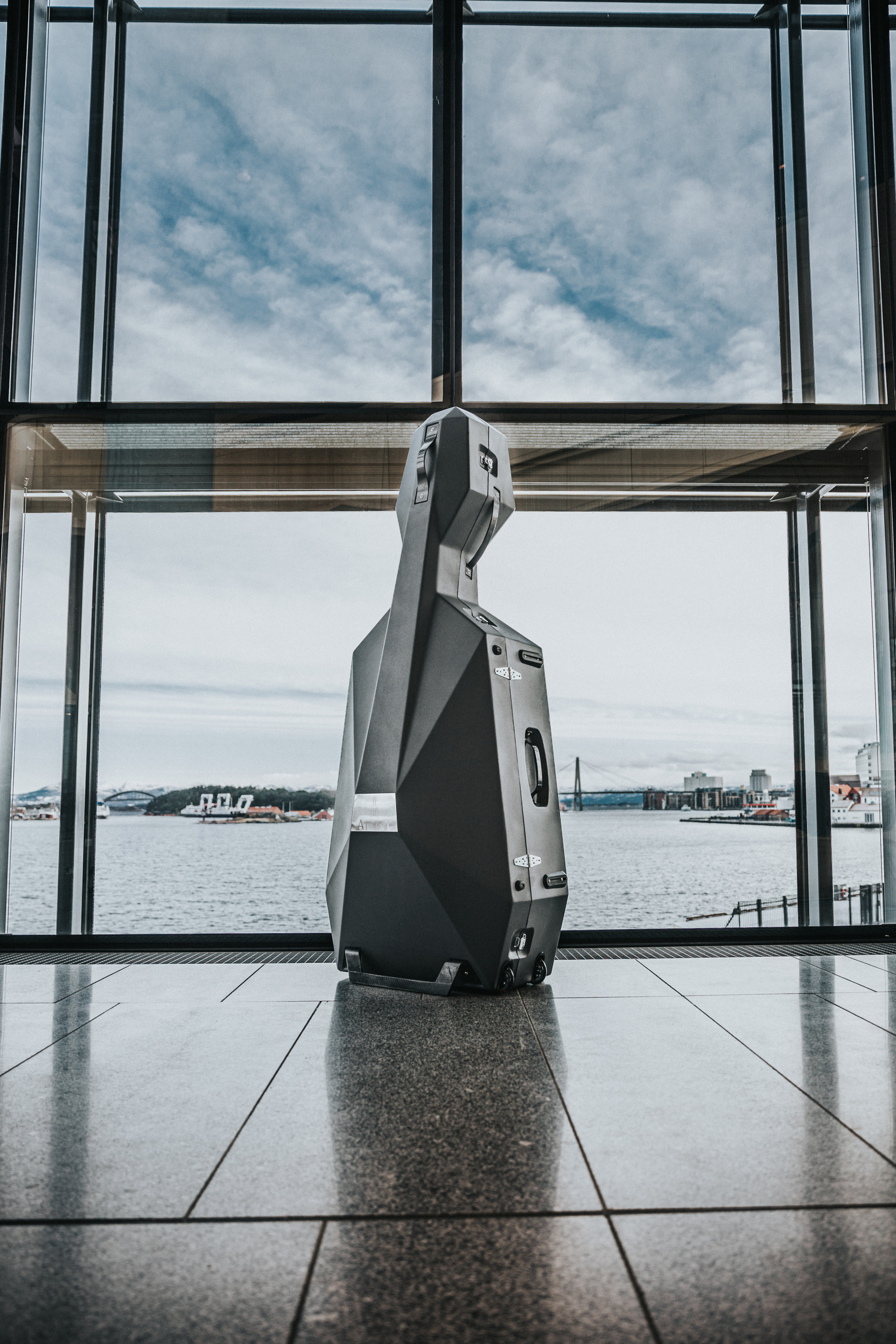 Atlant Double-Bass Transportation Case