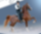 Screenshot 2024-03-21 at 7.40.14 PM.png