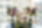 floral10.jpg