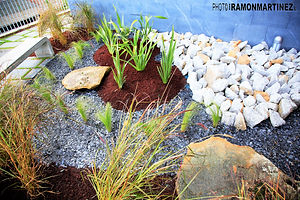 Anna_Jardines_0036.jpg