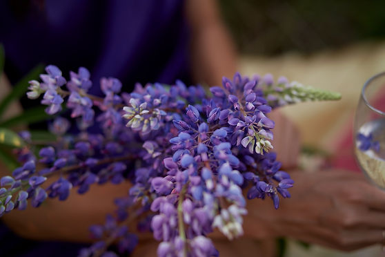 AdobeStock_612220753.jpeg