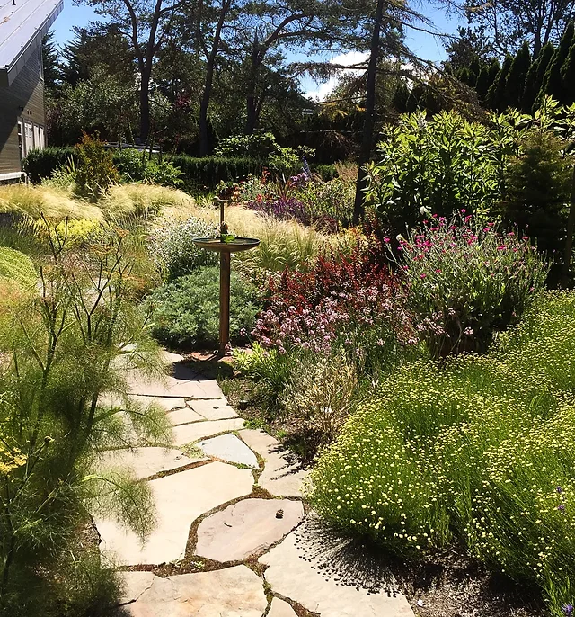 Garden Design Aubergine Garden Design Vancouver