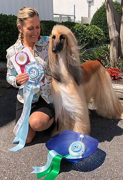 65184464_10220279822292650_5610024352901