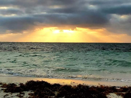 El Niño: Perspectivas para los próximos meses según la OMM