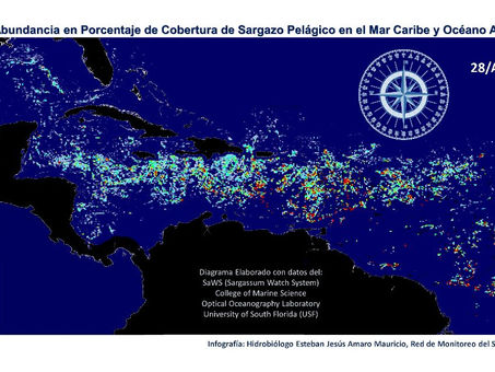 Cancún, incapacidad frente al sargazo