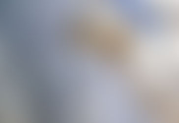 Plagada de turistas y sin agua, Isla Mujeres