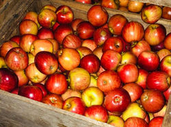 WhatsApp Image 2020-06-13 at 11.21.52 (1