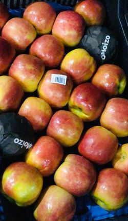 WhatsApp Image 2020-06-13 at 11.21.52 (5