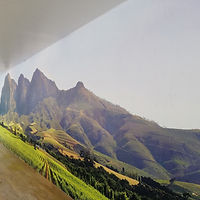 Image - Wall Genie Seamless 2.jpg