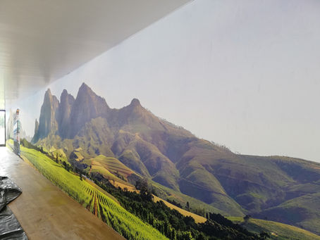 Seamless Wallpaper: The Superior Choice for Modern Interiors