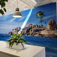 Image - Wall Genie Seamless 5.jpg
