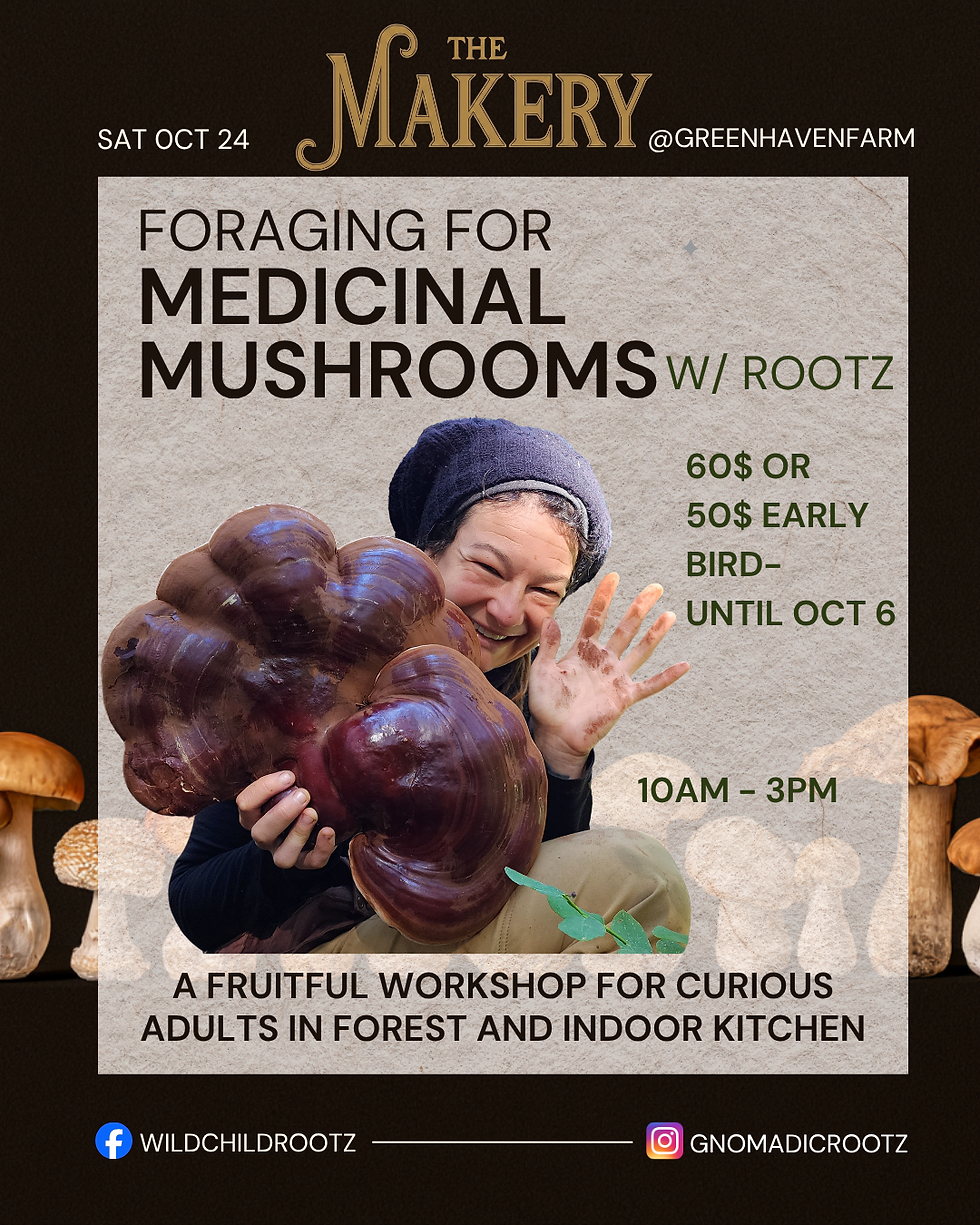 Foraging for Medicinal Mushrooms With Rootz