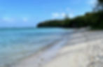IMG_2031_edited.jpg