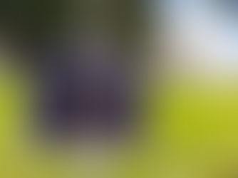 An Exploration Of Belonging And Othering In Alabama