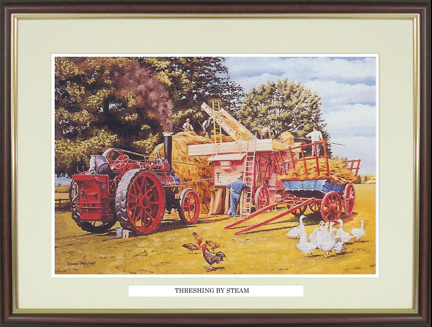 Traction Engine print "Threshing by Steam" by Trevor Mitchell