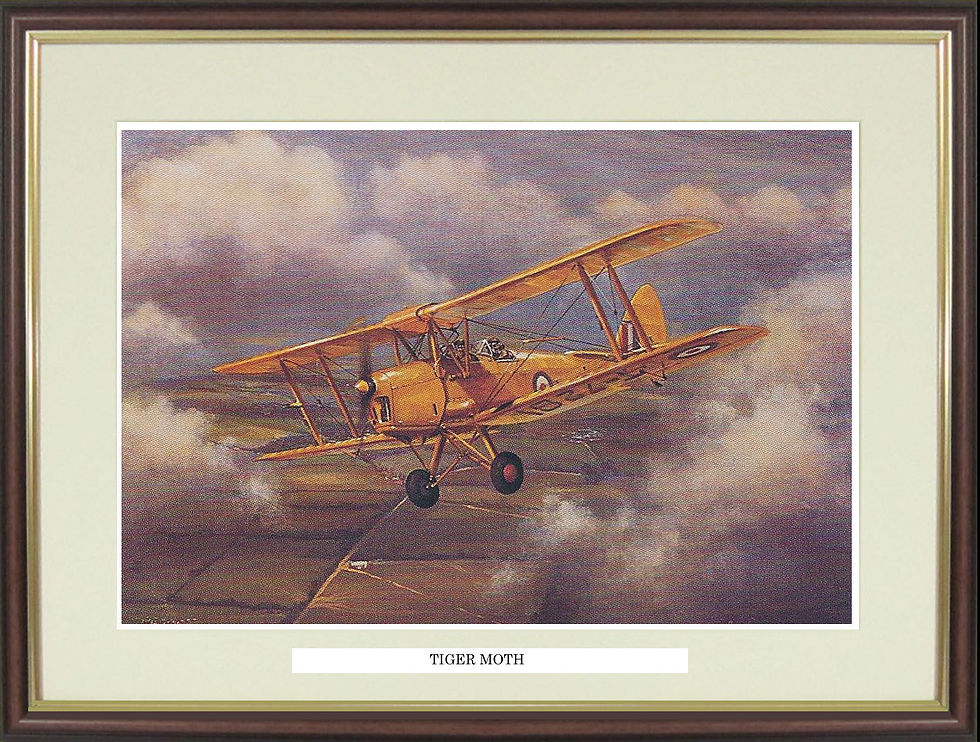 Tiger Moth print "Tiger Moth" by Roy Garner