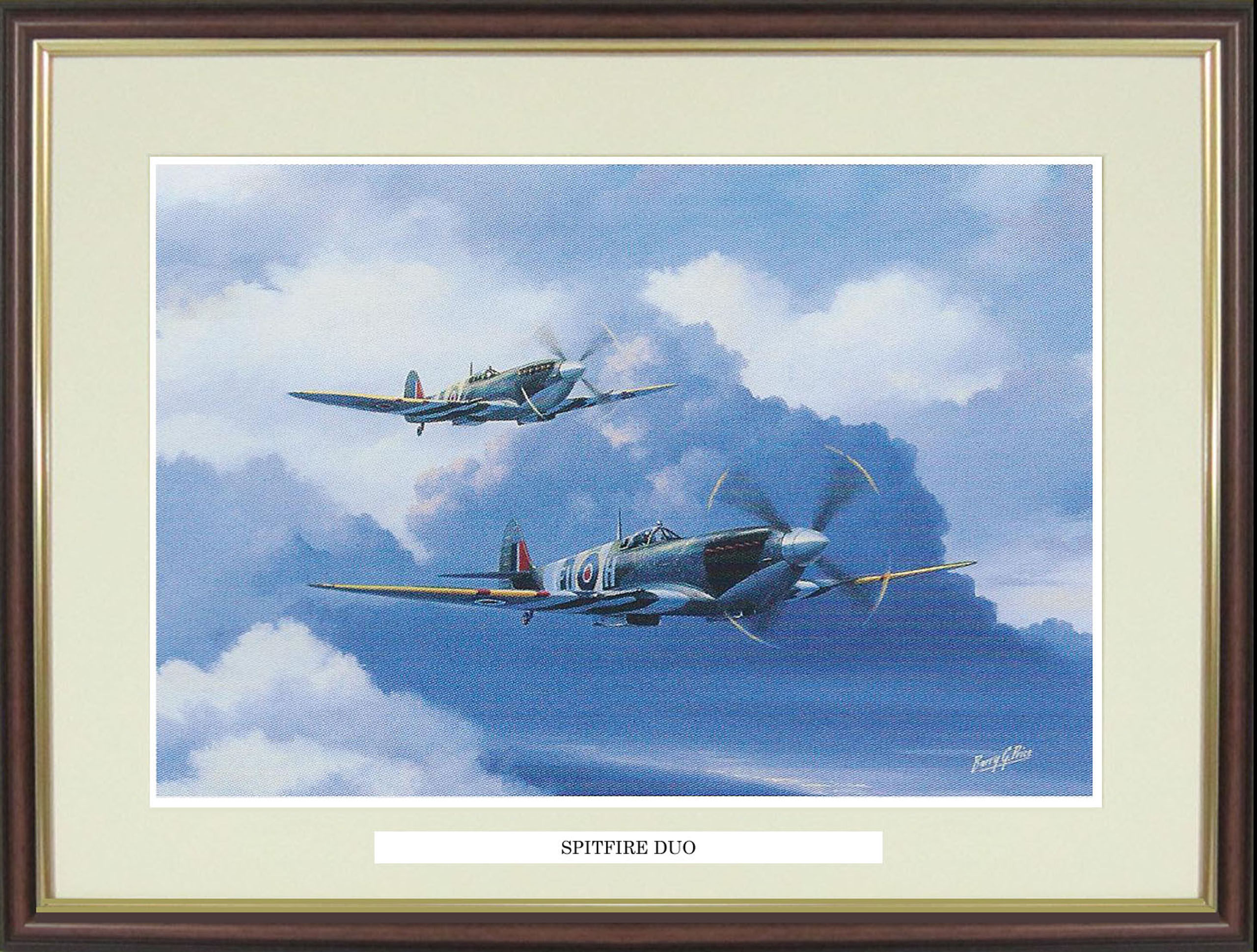 Spitfire picture "Spifire Duo" by Barry Price