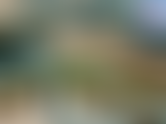 Suisse : les astuces des stations de basse et moyenne altitudes pour faire face au manque de neige