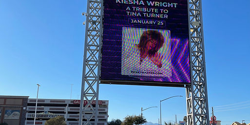 Tina Turner Tribute -Cannery Casino