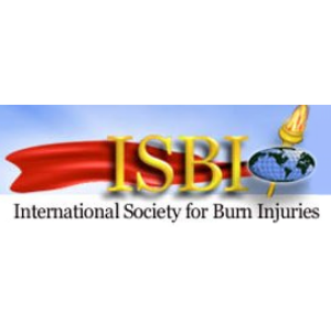Logo ISBI