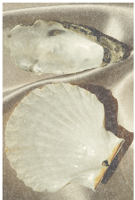 FAW Website (4).png