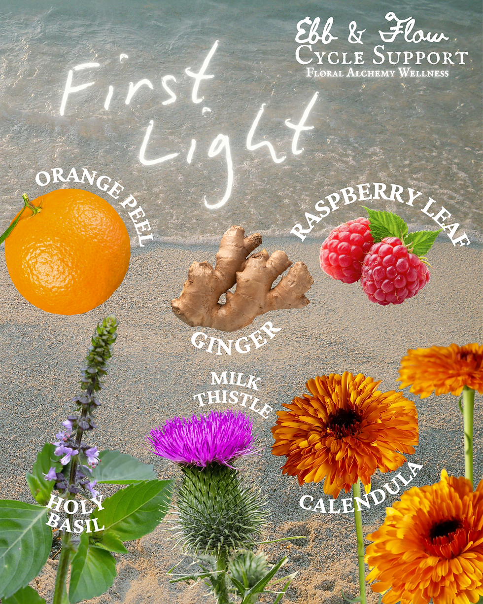 Thumbnail: First Light Tea