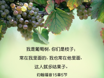 约翰福音讲道集（八十）---我是真葡萄树