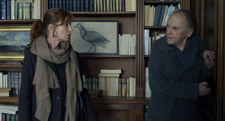 The Shot Lingers in Michael Haneke's Amour