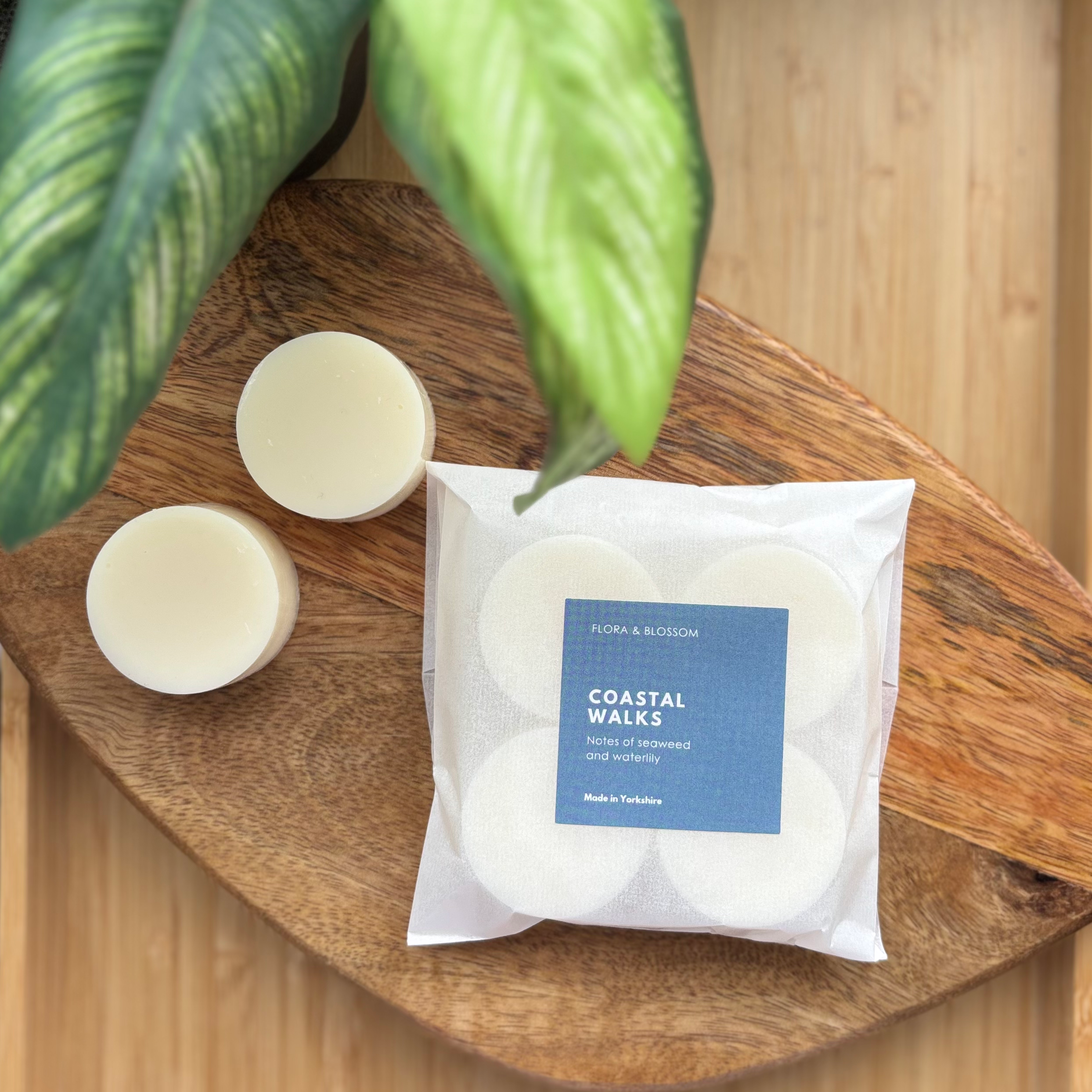 Coastal Walks Wax Melt