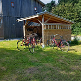20230811_104259.jpg