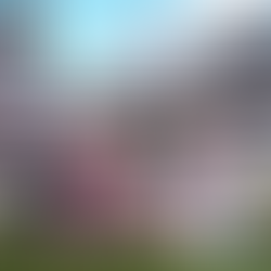 Twins on Historic Run, Lighting Up AL Central