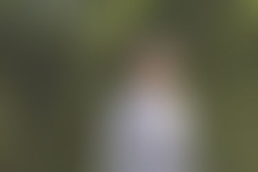 Politicians are trying to control the news.