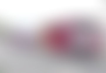 Municipio Autónomo de Naguabo lanza programa de transporte colectivo “Naguabo en Ruta R-1”