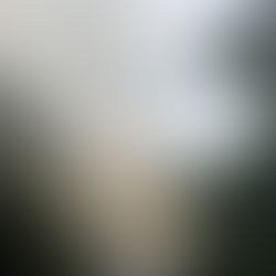 National Guard activates air support for fires in Vega Baja.