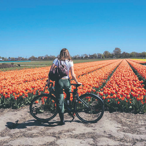 By boat and bike, losing yourself in Dutch tulip country