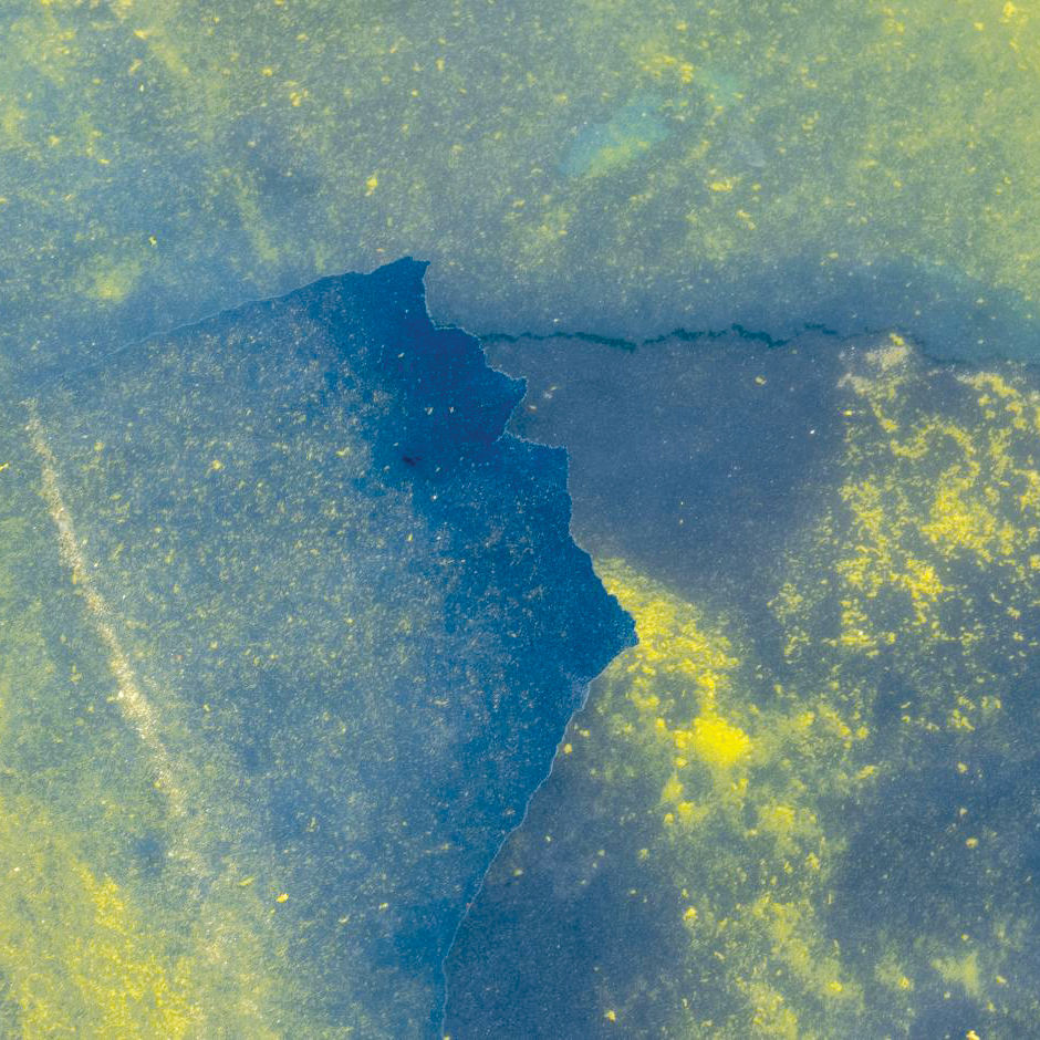 Creature from the green lagoon