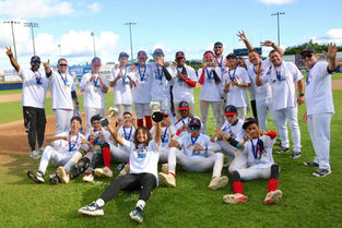 Cidra wins PR Baseball Federation U-15 League title