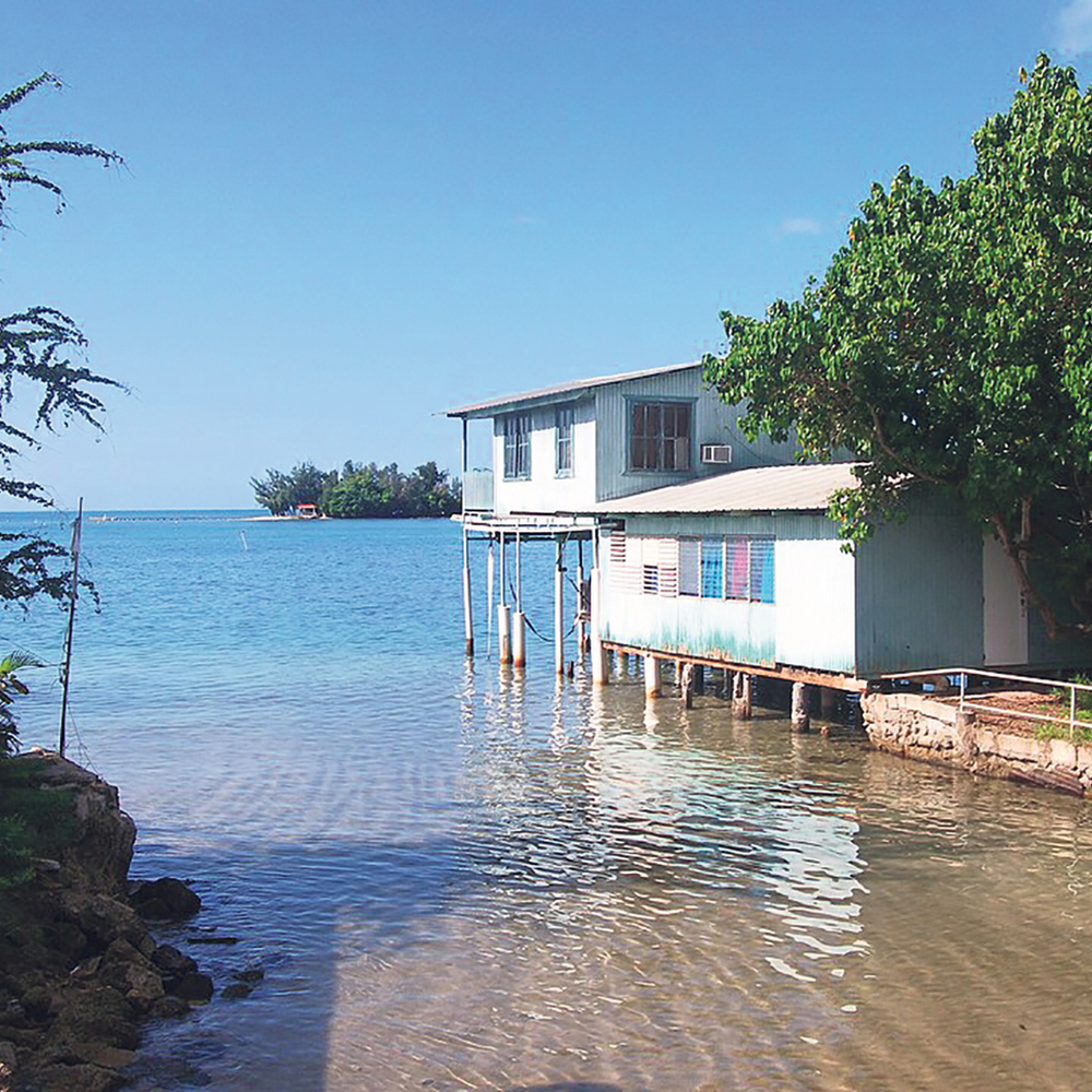 Senate bill would promote Joyuda as tourist & gastronomic destination.