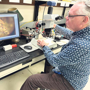 In criminal cases, moss is often underfoot and overlooked.