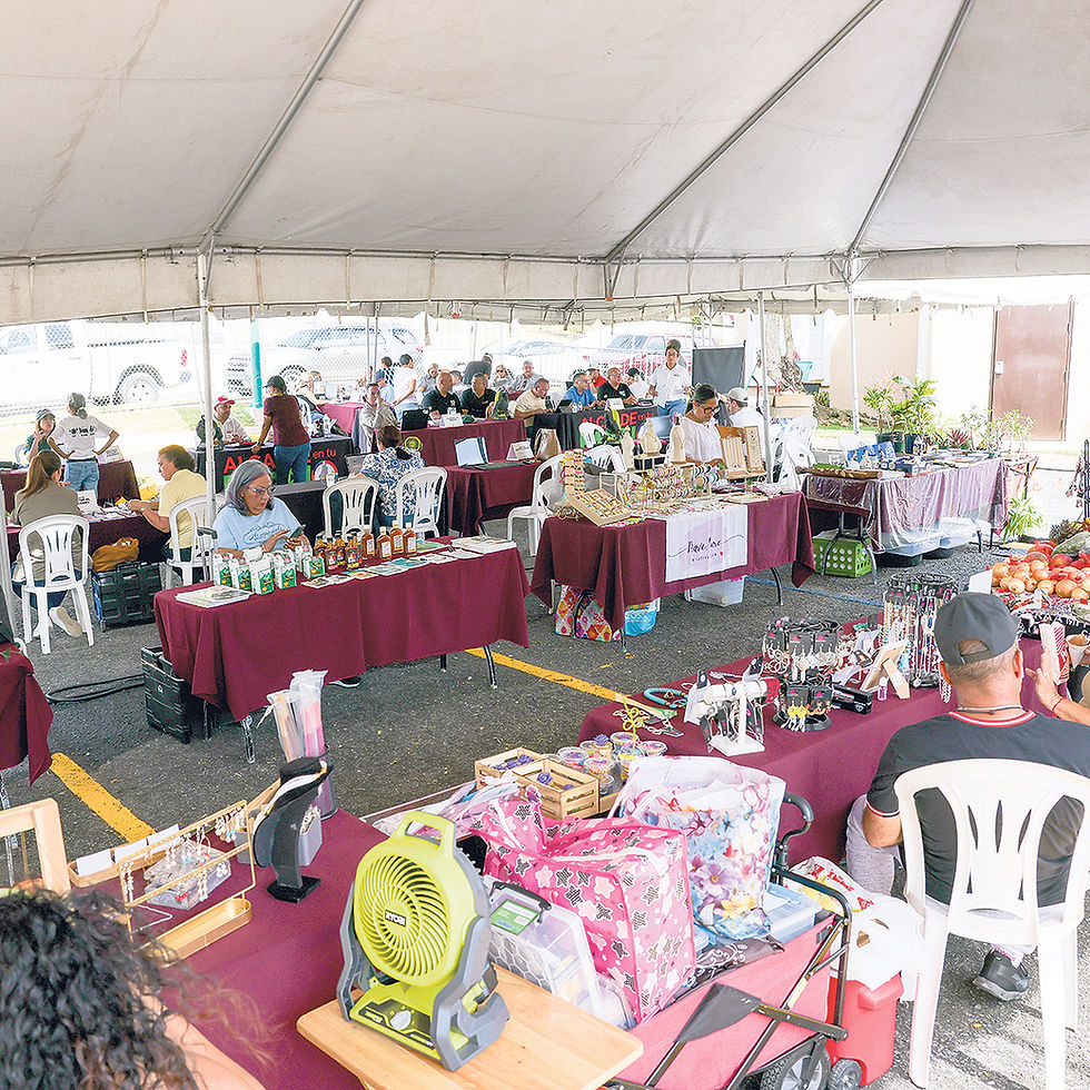 Mesas con todos los ofrecimientos disponibles en la feria de servicios Alcalde en Tu Barrio, que este mes se realizó en CCSSAC del Bo. Antonio de Caguas. (Fotos: Municipio Autónomo de Caguas)