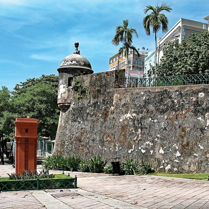 Petition to halt tree cutting in Old San Juan surpasses 2,000 signatures.