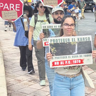 PIP impulsa resoluciones municipales en defensa del carso