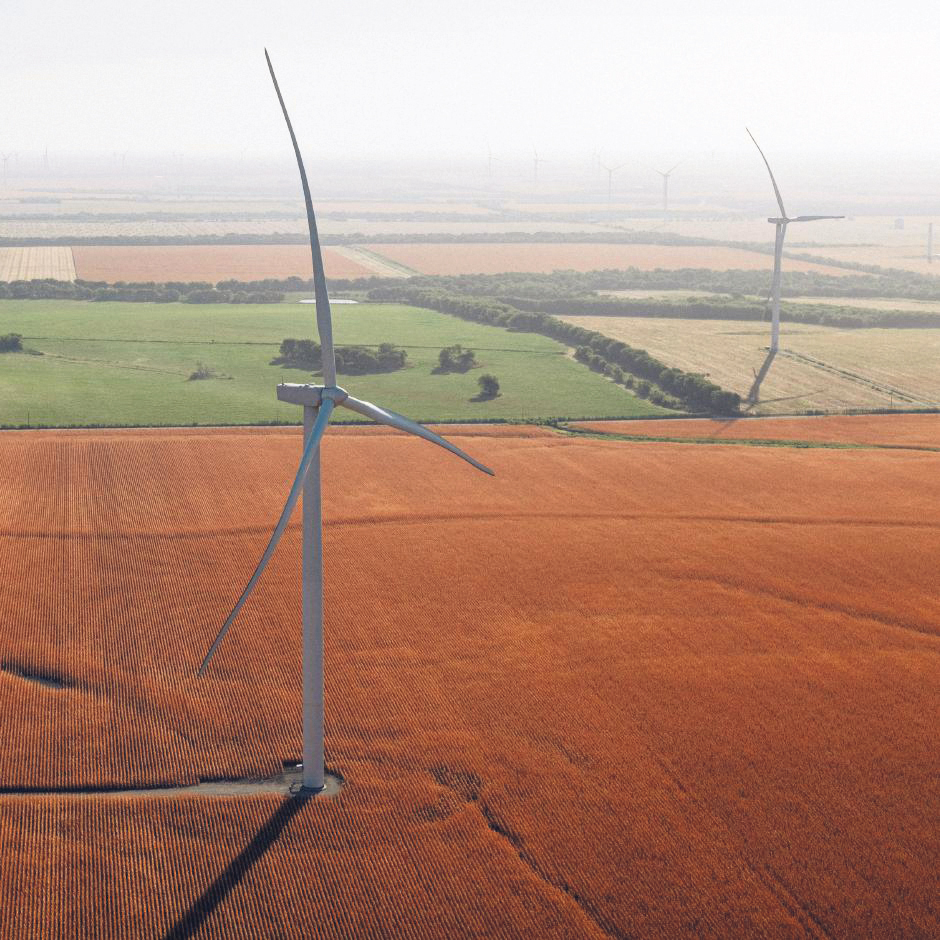 How clean energy firms are trying to survive the Trump era.