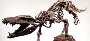 This crocodile relative was one of dinosaurs’ most fearsome predators