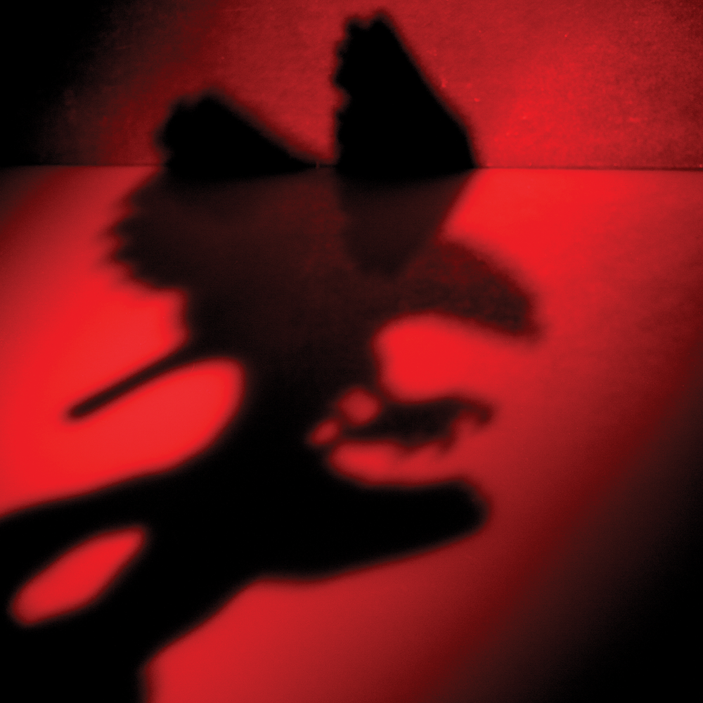 The war is going better than you think.