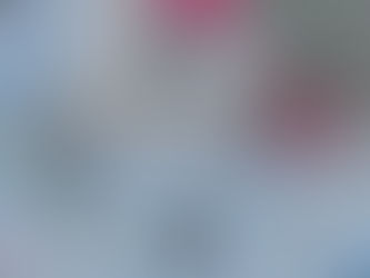 From welcome to worry: Afghans in the US face uncertainty and backlash